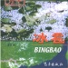 阳高县好玩的地方